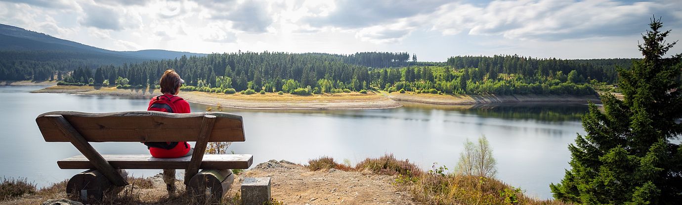 Harz - Person auf Bank mit Blick auf Eckertalsperre