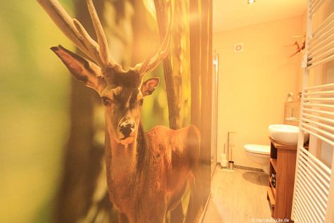 Badezimmer – Ferienwohnung Bergprinz Braunlage Badezimmer – Ferienwohnung Bergprinz